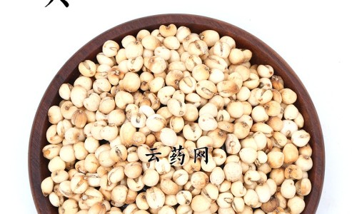 玫瑰花枸子浦公英功效网-分享蒲公英和玫瑰花加枸杞，玫瑰花和浦公英一起泡水喝的功效知识库